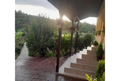 Casă rurală modernizată + 2329 mp teren, livadă și solar în Lipnița - 11