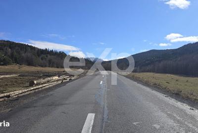 Teren de 19200 mp, în Brădet - 7