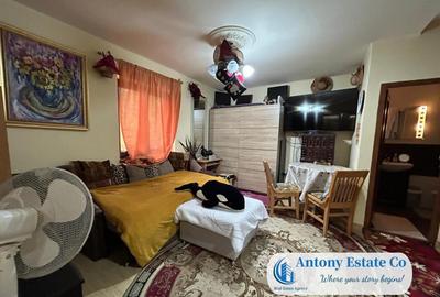 Casă cu 7 camere cu Teren 510 Mp în Paleu - 13