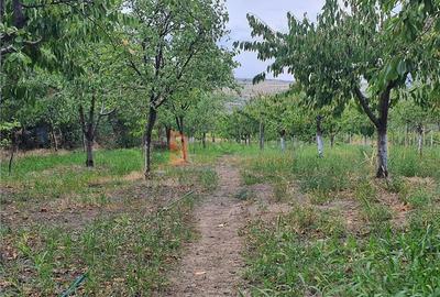 Casă individuală cu 2 camere în Pietroasele