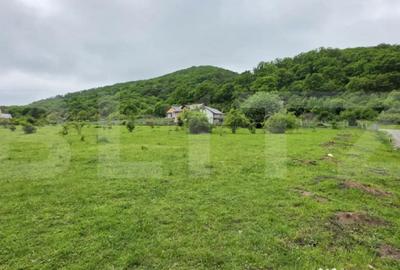 Teren de 1450 mp, în Central - 2