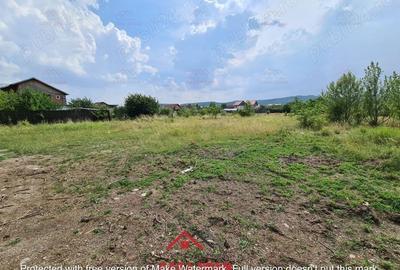 Casă cu Teren 3727 Mp în Bănești - 2