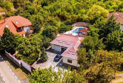 Vila cu 6 camere de vanzare - 1