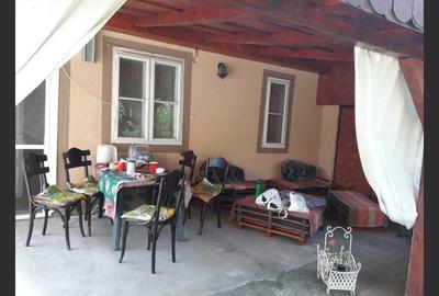 Villa for sale, 2 Apartments, 220mp, Ineu - 4