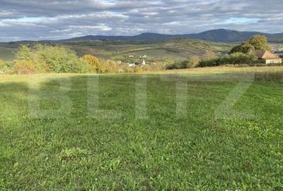 Teren de 27000 mp, în Aghireș - 1