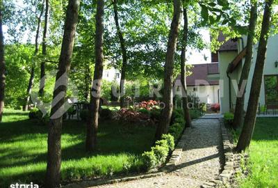 Casă cu 7 camere cu Teren 4000 Mp în Câmpului - 4