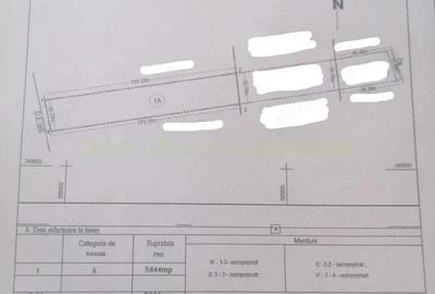 Teren 5444 mp de vanzare in Saftica, negociabil - 3