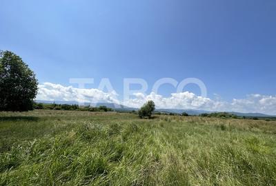 Teren intravilan 5000 mp zona Turnisor din Sibiu - 1