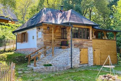 Casa de vacanta la munte de vanzare