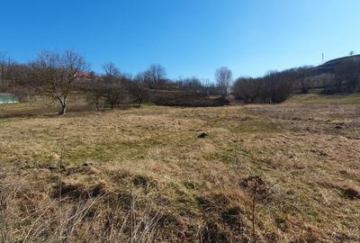 Teren agricol intravilan de 6000 mp, în Văculești - 1