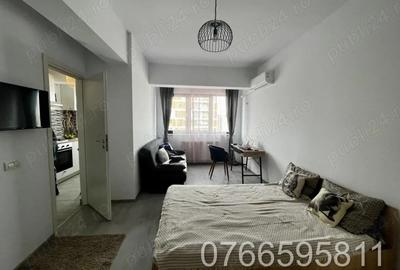 Gars de inchiriat in Grozavesti ,zona Pui de Urs - 1