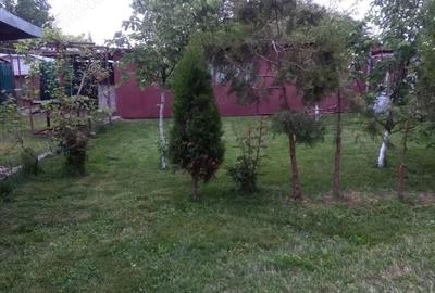 Casă cu 3 camere în Crivina - 3