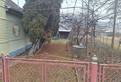 Casă cu 3 camere în Beica de Jos - 5