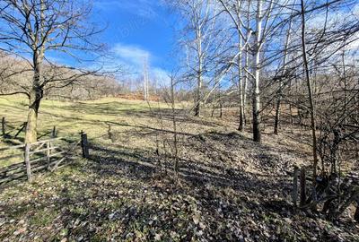 Casă cu 4 camere în Cernișoara - 3