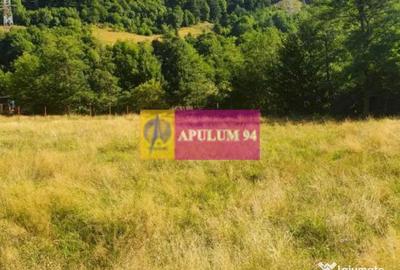 Teren de 744 mp, în Brezoi - 16