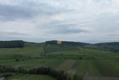 Teren 3953 mp Falticeni Tarna Mare De 0727817187 - 17