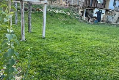 Casa de vanzare la tara - 10