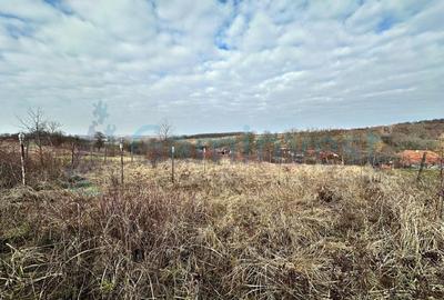 Teren Construcții intravilan de 1000 mp, în Episcopia Bihorului - 1