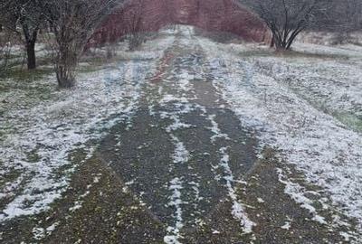 Teren Construcții intravilan de 5700 mp, în Exterior Sud - 2