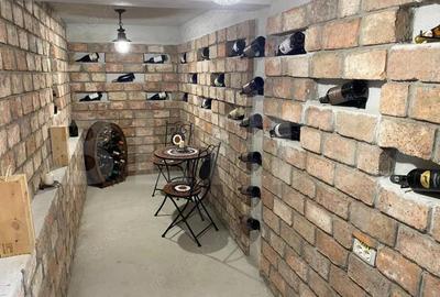 Cabana deosebita in Campenesti - un refugiu modern cu priveli?te superba la lac - 2