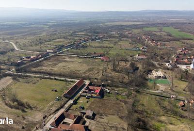 Casă cu 8 camere cu Teren 7235 Mp în Traian Vuia - 3