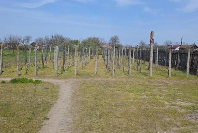 Casă cu 3 camere în Central - 3