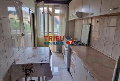 Apartament cu 3 camere decomandat în Lipoveni - 11
