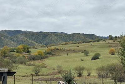 Teren de 2400 mp, în Orlat - 5