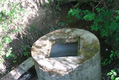 Teren Construcții intravilan de 38592 mp, în Sud-Vest - 24