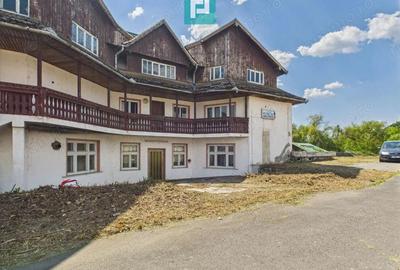 Pensiune in Geoagiu pe malul raului Mure? - 3