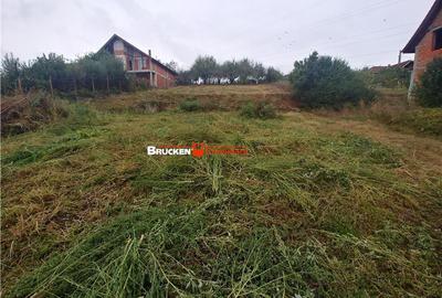 Teren de 1236 mp, în Petreu - 1