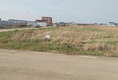 Teren Construcții intravilan de 1000 mp, în Dragomirești-Vale - 4