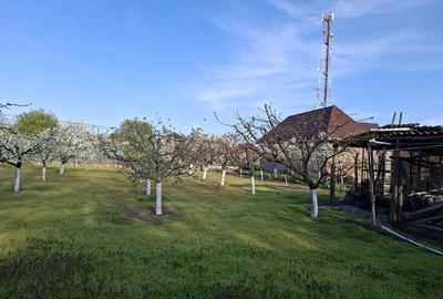 Casă cu Teren 1041 Mp în Central - 6