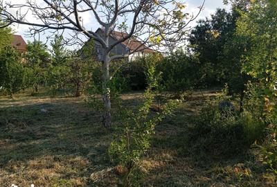 Casă cu 6 camere cu Teren 1630 Mp în Gai