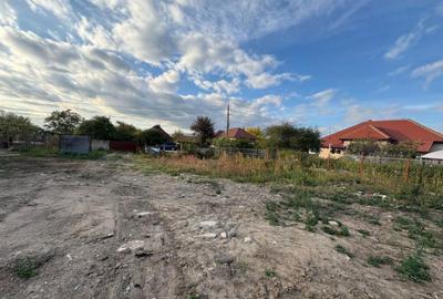 Teren 4449 mp cu utilitati, Curtisoara - la 13 km Tg. Jiu - 1