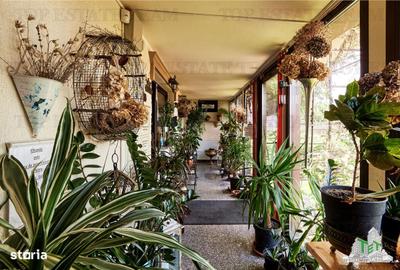 Spațiu comercial, de 37 mp, în Km 4 - 7