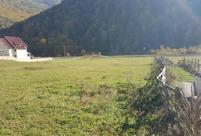 Teren Construcții intravilan de 6025 mp, în Lepșa - 3