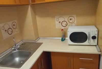 Garsonieră decomandată în Radu Negru - 5