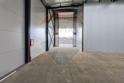 Spațiu industrial, de 599 mp, în Cernica - 7