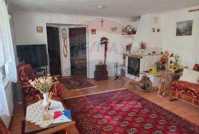 OCAZIE!!! CASA SUPERBA cu teren in JULITA jud Arad in M tii Zarandului - 10
