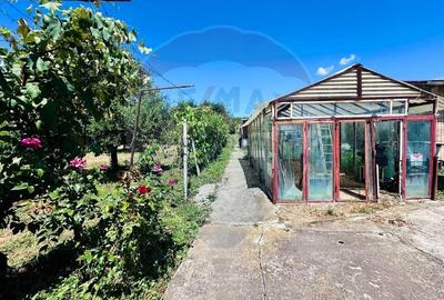 Casa cu Toate Utilitatile,Vedere Panoramica,Livada-Stefanesti, Arges - 30