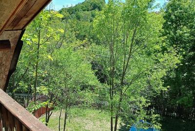 Casă cu 2 camere cu Teren 3400 Mp în Ghelari - 12