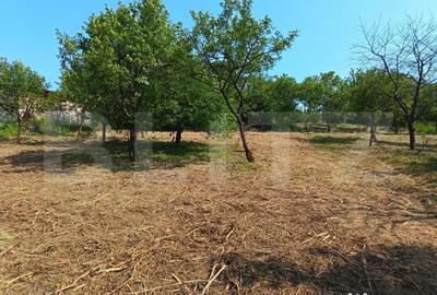 Casă cu 2 camere cu Teren 3350 Mp în Central - 8