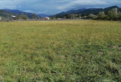 Teren in Bucovina zona Dorna Arini - 3