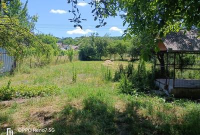 Casa de vanzare sau inchiriere cu spatiu comercial Tg Mures - 12