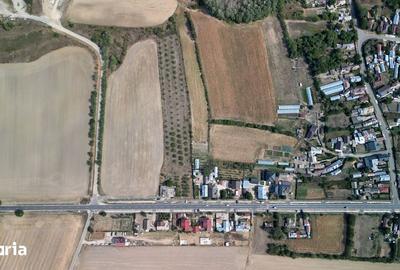 Teren de 9654 mp, în Dobra - 1