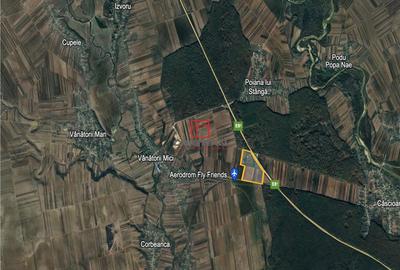 Teren de 205000 mp, în Vânătorii Mici - 1