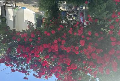 Casa de vanzare - 20