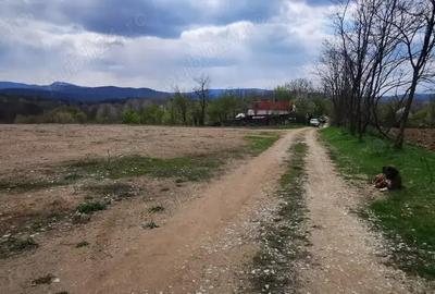 Teren de 26500 mp, în Calea Caransebeșului - 7
