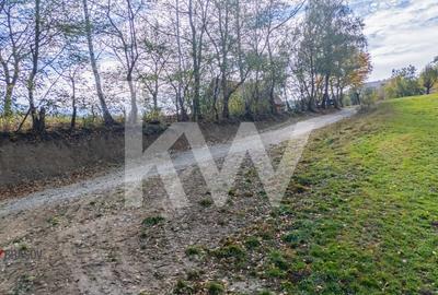 Vanzare teren intravilan 37723 mp Zarnesti Tohanita - 16